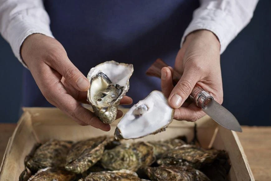 Opinel Cuchillo De Ostras N°09 - Imagen 6