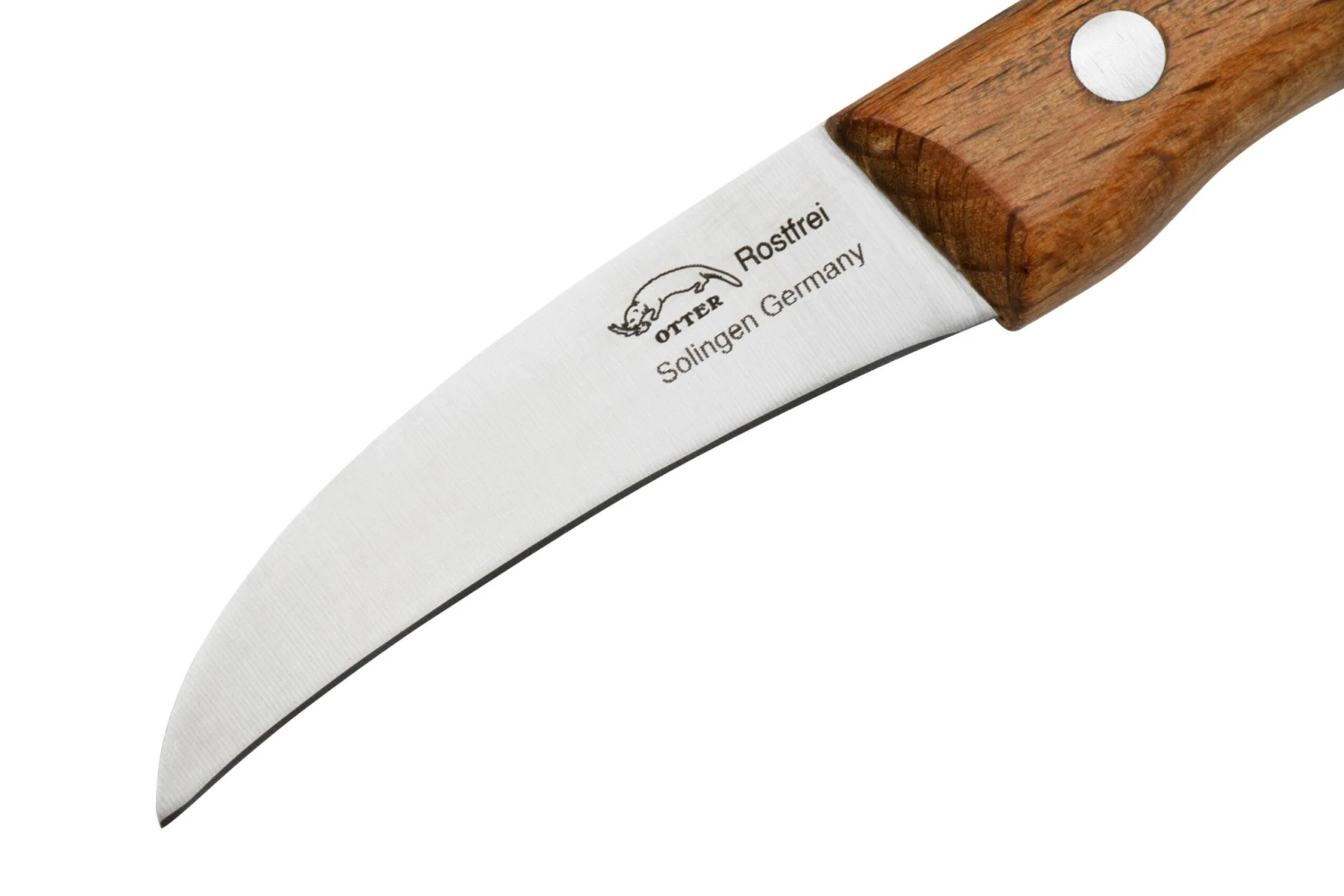 Otter Paring Knife 1011 Curved Stainless Beech, Pelador - Imagen 3